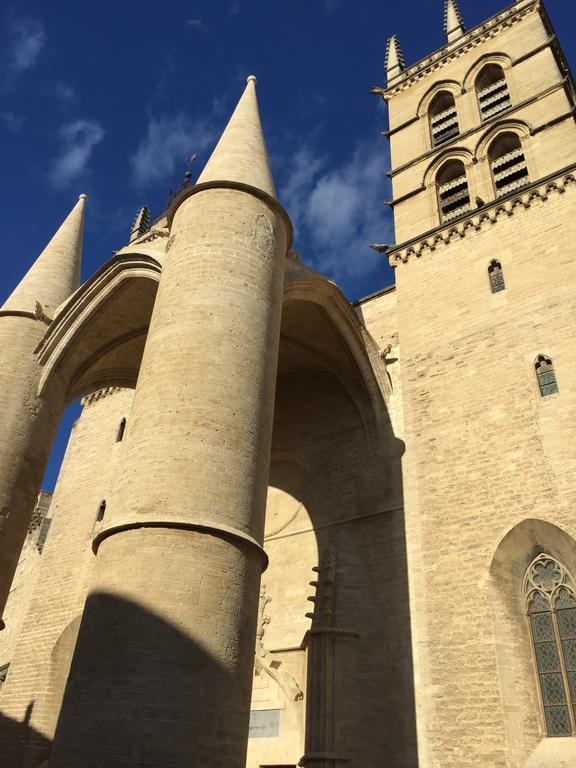 Appartement Vieille Intendance Montpellier Ruang foto