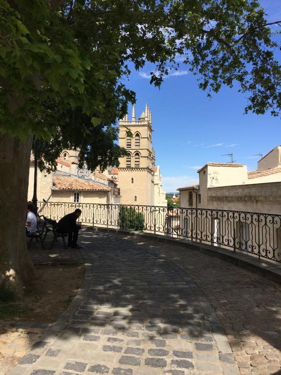 Appartement Vieille Intendance Montpellier Bagian luar foto